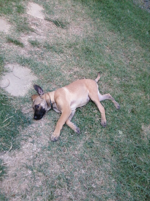 Photo0101
