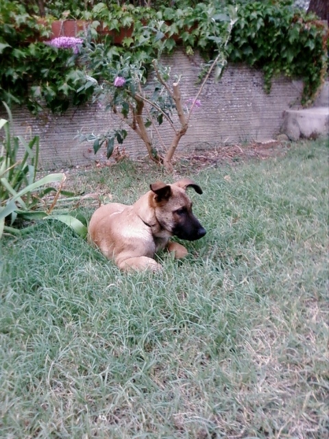 Photo0102