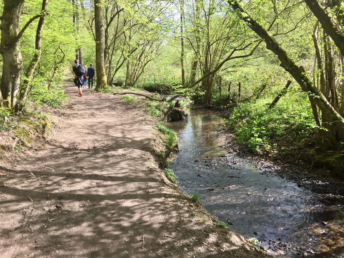 Lcc bois de serre 11